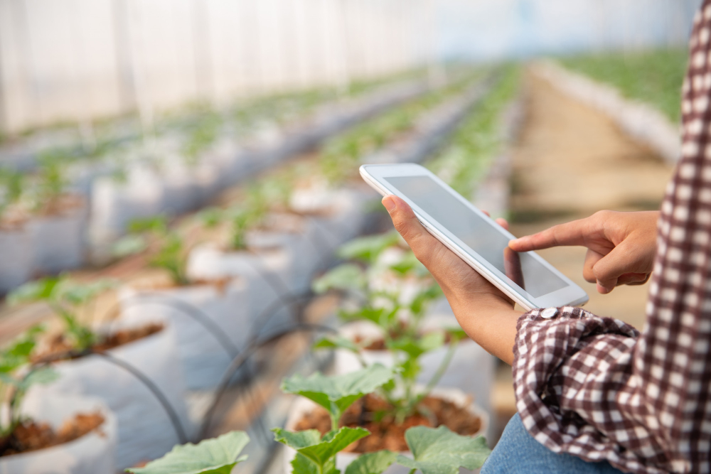 Herramientas digitales para agricultores y ganaderos