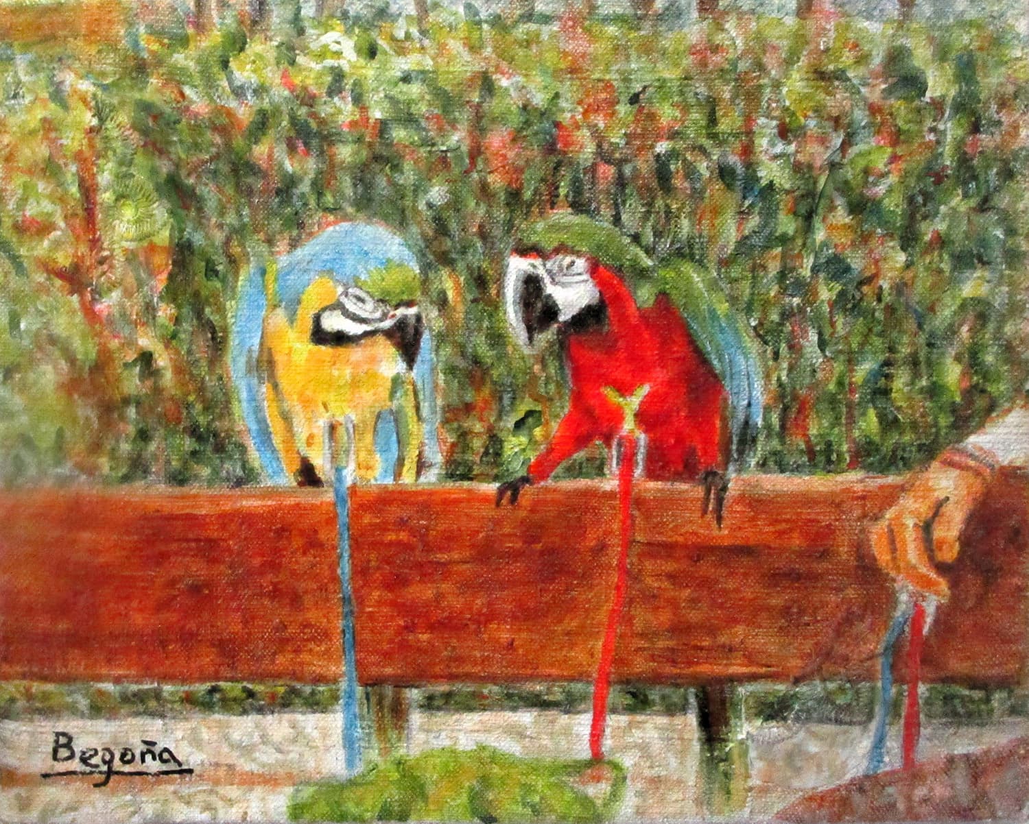 ‘Animalitos de ciudad’ Begoña Sopena